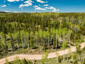 View of mountain background with a heavily wooded area