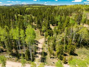 Bird's eye view of a heavily wooded area and a mountainous background and driveway.