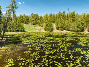 View of nature featuring a nearby body of water