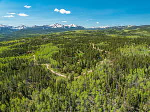 View of mountain background featuring a heavily wooded area