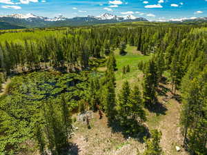 Aerial view of a mountainous background and a heavily wooded area