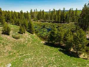 View of undeveloped land