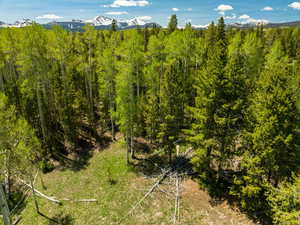 Bird's eye view of a mountainous background and a forest