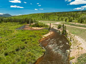 Drone / aerial view of a heavily wooded area and mountains