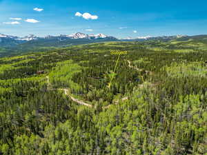 View of mountain background with a heavily wooded area