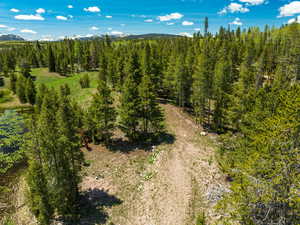 Drone / aerial view of a mountain backdrop and a heavily wooded area