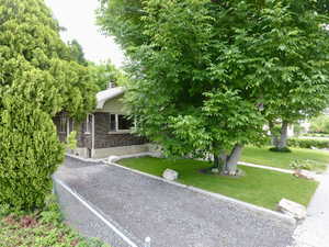 View of property hidden behind natural elements featuring a front lawn and a chimney
