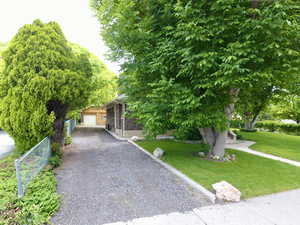 Obstructed view of property with gravel driveway and a garage