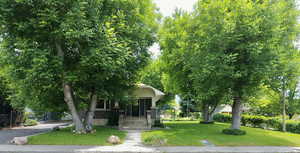 Obstructed view of property with a front lawn