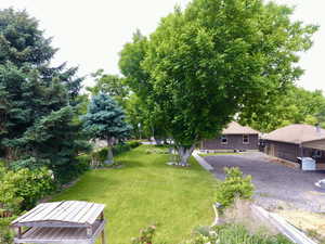 View of green lawn
