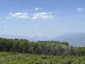View of mountain background featuring a heavily wooded area