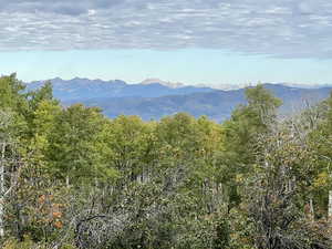 Mountain Views