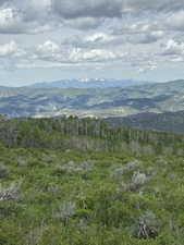 View of Mount Timpanogos.