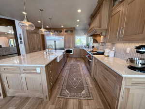 Kitchen with high quality appliances, wood finished floors, a sink, bespoke tile backsplash, and glass upper cabinets