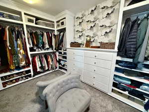 Walk in closet featuring carpet floors