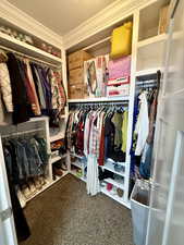 walk in closet for basement bedroom 2- Walk in closet featuring carpet floors