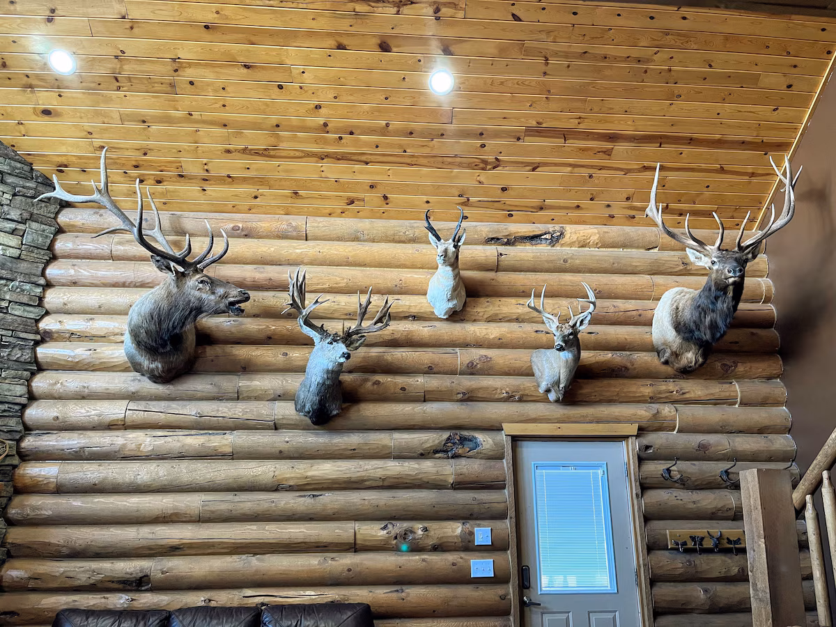 Detailed view of log walls