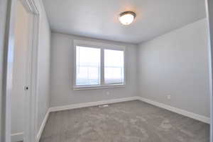 Carpeted bedroom with baseboards and a walk in closet