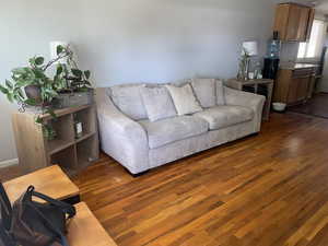 Living area with dark wood finished floors