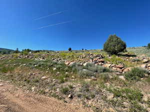 View of undeveloped land