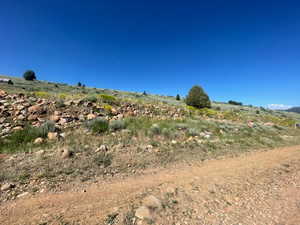 View of undeveloped land