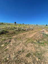 View of undeveloped land