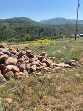 Mountain view with a forest