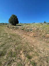 View of undeveloped land