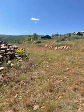 View of yard featuring a rural view