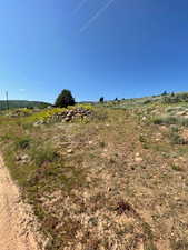 View of local wilderness featuring rural landscape