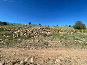 View of local wilderness with rural landscape