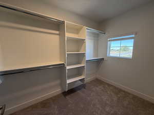 Spacious closet with dark carpet