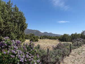 View of mountain backdrop