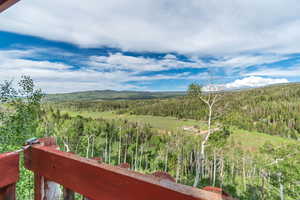 Mountain view with a heavily wooded area