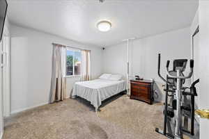 Bedroom featuring carpet floors, a textured ceiling, and baseboards