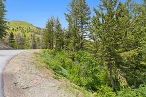 View of asphalt street with a wooded view