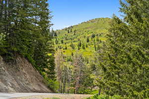 Mountain view featuring a heavily wooded area