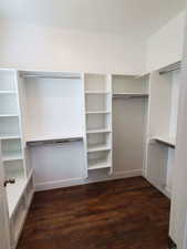 Spacious closet with dark wood-style flooring