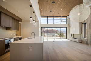 Kitchen with modern cabinets, a high ceiling, stainless steel oven, a sink, and wood finished floors