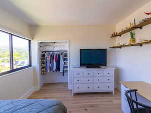 Bedroom featuring light wood-style floors, a closet, baseboards, and a spacious closet