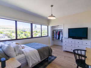 Bedroom with light wood-type flooring, multiple windows, a closet, and baseboards