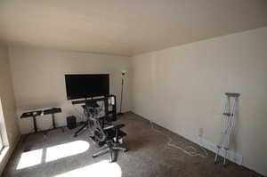 Exercise room featuring carpet