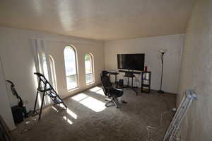Workout area with carpet and a textured ceiling