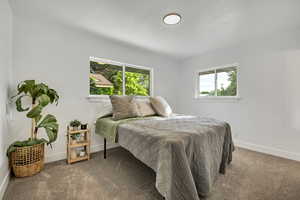 Bedroom featuring carpet floors, multiple windows, and baseboards