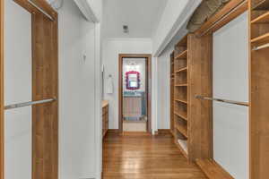 Spacious closet with light wood-style flooring