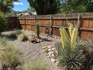 View of back yard