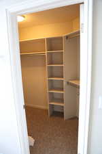 Walk in closet featuring carpet flooring