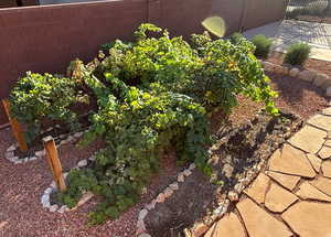 View of yard featuring a vegetable garden