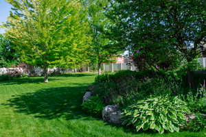 Such a peaceful beautiful yard with different areas to explore.