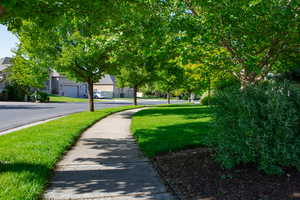 Walking in front of the house in summer - the view you would see.